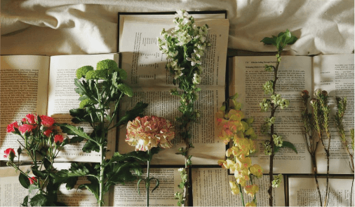 ボタニカルショップ arbo